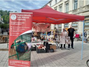 Örökbefogadható kutya, gazdira váró állatok, Miskolci Második Esély Állatvédő alapítvány, MME, Miskolc